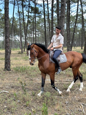 Visit Aveiro Horse Riding Experience with Instructor in Águeda