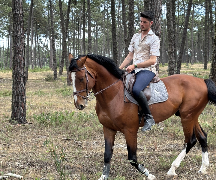 Aveiro: Horse Riding Experience with Instructor