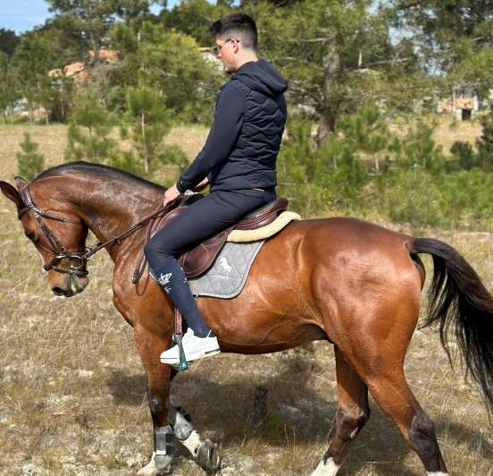 Aveiro: Horse Riding Experience with Instructor | GetYourGuide