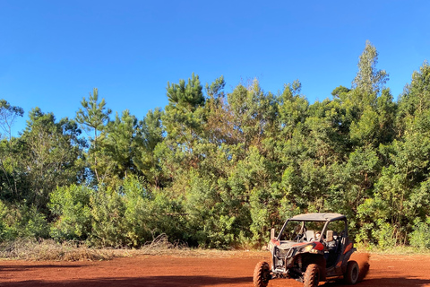 Madeira: Private Off-Road Buggy Driving Experience