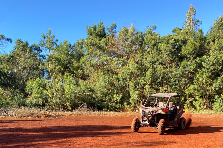 Madeira: Private Off-Road Buggy Driving Experience