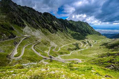 Bucareste: Tour particular da Transfagarasan e dos ursos marrons selvagens