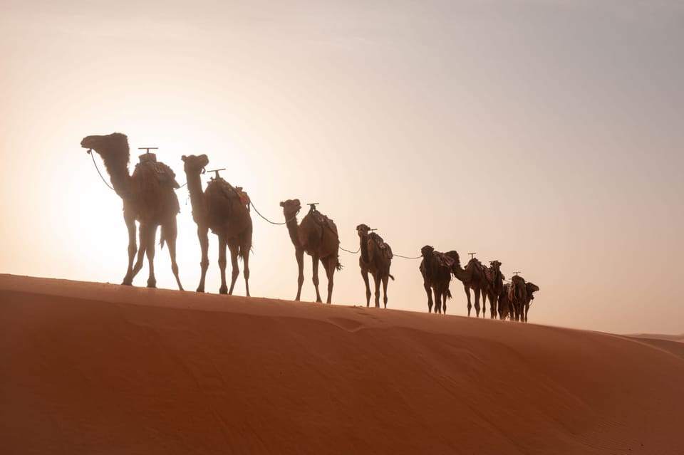 Marrakech 3 tägige Tagestour nach Fes über Merzouga Sahara Wüste