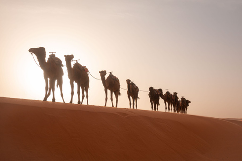 Marrakesch nach Fes über Merzouga Wüste Sahara 3-Tages-TourStandard Wüstencamp-Zelt