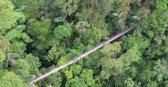 Mistico Hanging Bridges Hiking