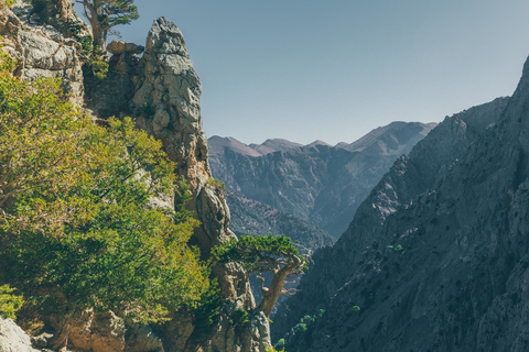 Safaris en Jeep de luxe : Montagnes blanches et visite de la Samarie