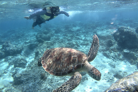 Lombok: Gili Trawangan, Meno, snorklingsresa med flygLombok: Snorklingsresa Gili Air, Meno, Trawangan