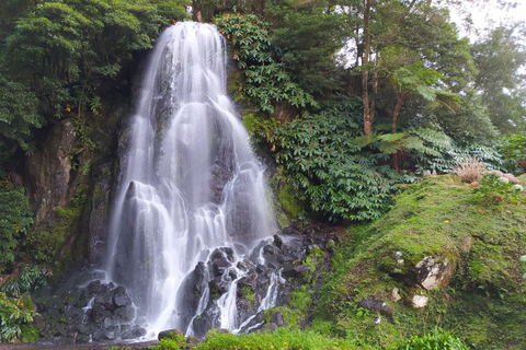 Excursion en van pour groupes : Découvrez le Nordeste et les chutes d'eau de l'île !