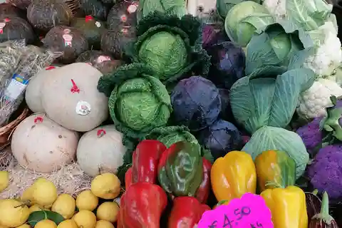 Rome: Guided Testaccio Market Food Tour with Tastings