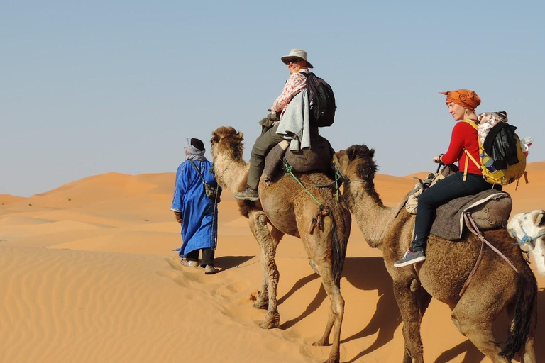 Privat tur i Casablanca öken 8 dagar Grand Morocco Tour