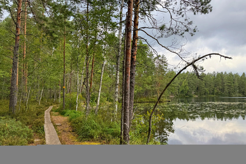 Helsinki: Nuuksio National Park Hike with Lunch & Pickup