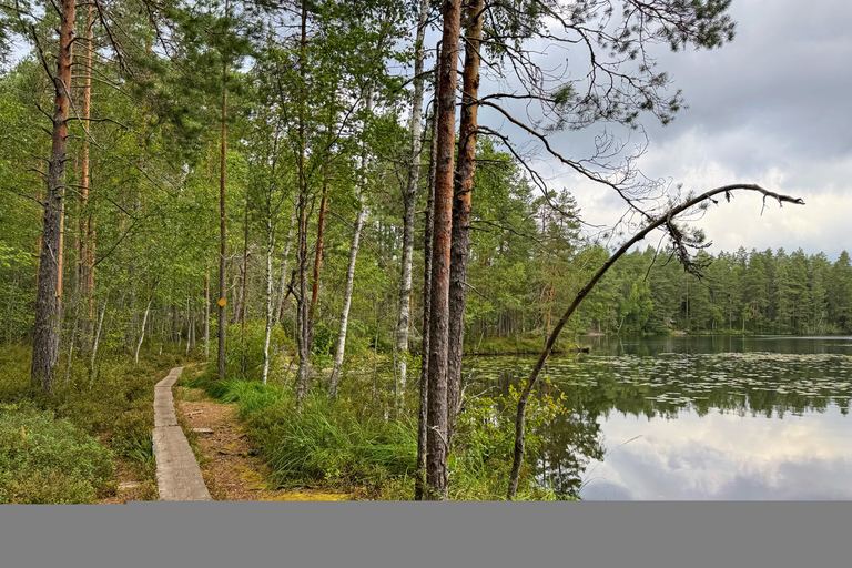 Helsinki: Nuuksio National Park Hike with Lunch & Pickup