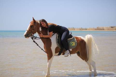 Plaża Sharm El Shiekh i jazda konna po pustyni2-godzinna wycieczka konna po plaży i pustyni
