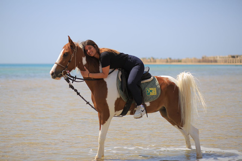 Visite de Sharm El shiekh Beach & Desert Horse Riding TourCircuit de 2 heures à cheval sur la plage et dans le désert