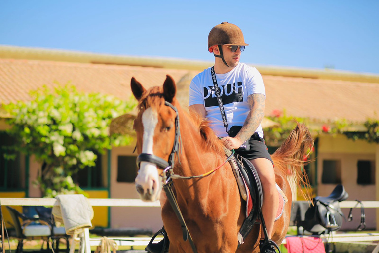 Sharm El Shiekh: Tour della spiaggia e del deserto a cavallo