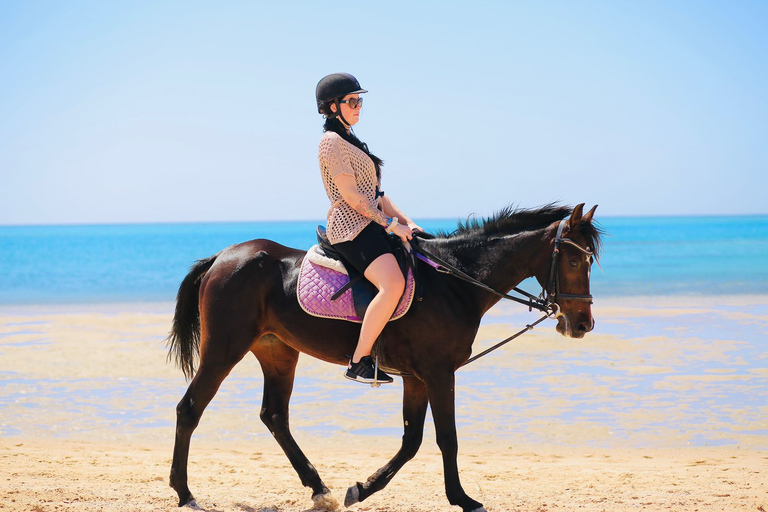 Sharm El shiekh Beach & Desert Horse Riding Tour 2-Hour Beach & Desert Horse Riding Tour