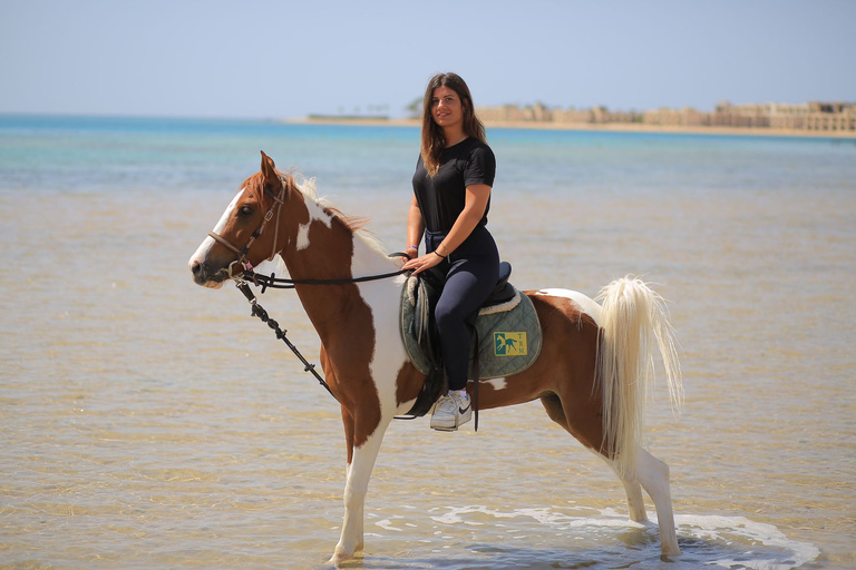 Sharm El Shiekh Beach & Desert Horse Riding Tour2 uur durende strand- en woestijn-paardrijtocht