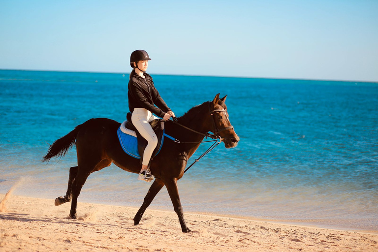 Visite de Sharm El shiekh Beach & Desert Horse Riding TourCircuit de 2 heures à cheval sur la plage et dans le désert