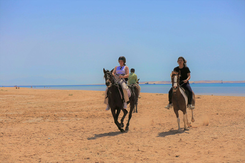 Sharm El Shiekh Beach & Desert Horse Riding Tour2 uur durende strand- en woestijn-paardrijtocht