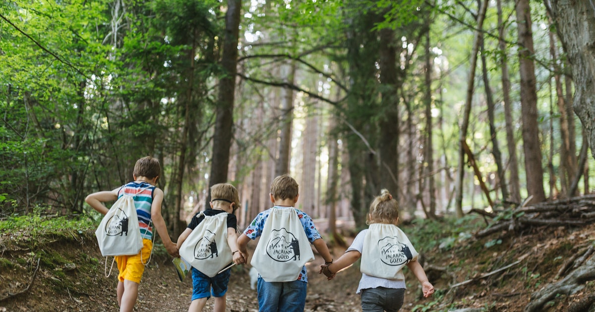 Aventura familiar en el Bosque Encantado GetYourGuide