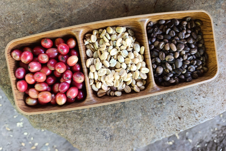 Cusco: 2-Day Coffee & Cacao Farm Stay Experience