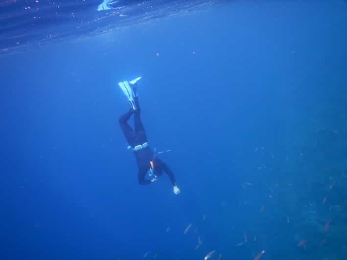 Tenerife Snorkeling underwater with freediving Instructor GetYourGuide