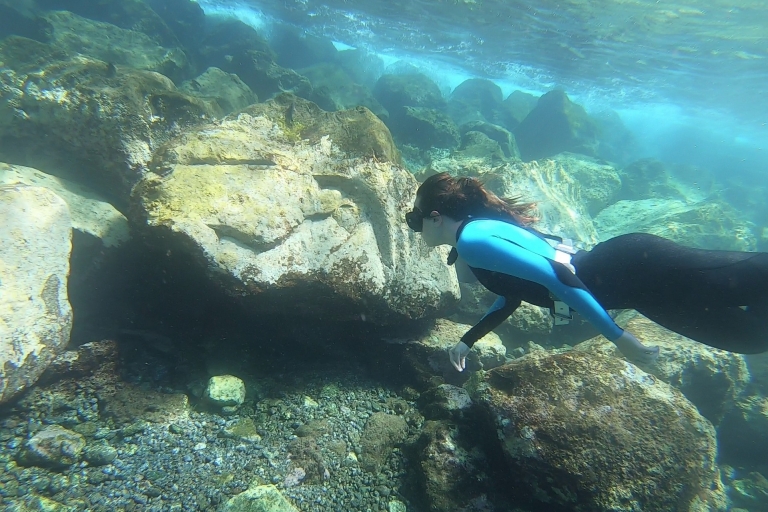 Tenerife : Snorkeling & Free-diving with Apnea Instructor Snorkeling Diving in Tenerife with Apnea Instructor