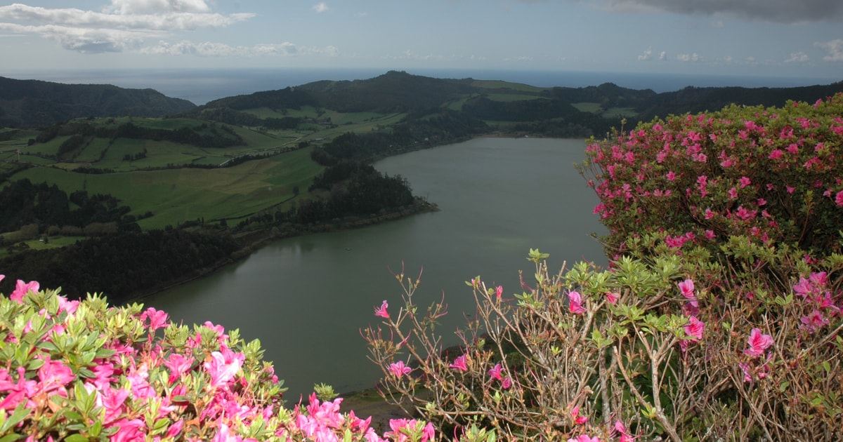 Furnas See & Vulkan Tour GetYourGuide