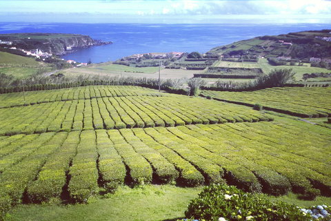 Groepsbustour: ontdek Nordeste en watervallen op het eiland!