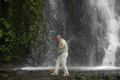 Groepsbustour: ontdek Nordeste en watervallen op het eiland!