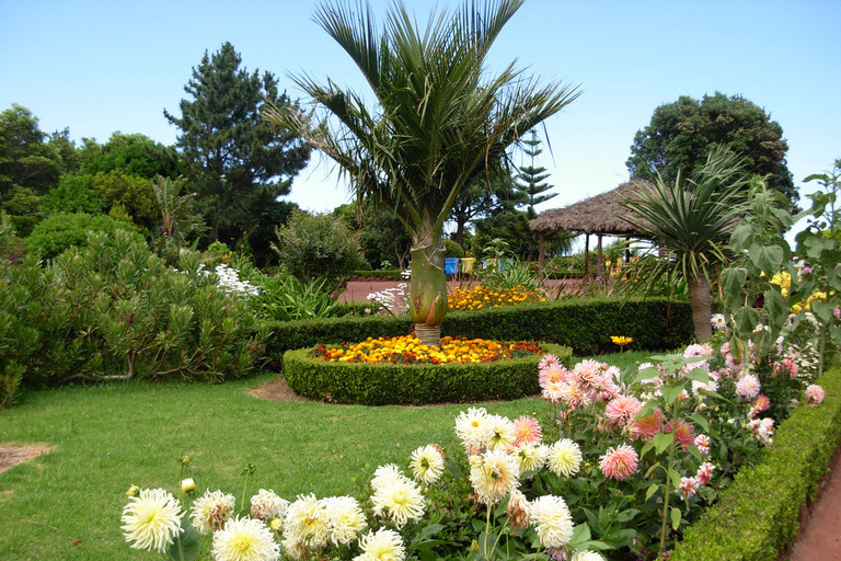 Groepsbustour: ontdek Nordeste en watervallen op het eiland!