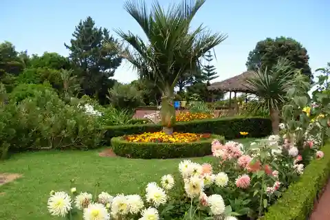 Nordeste Private Tour (2 people)