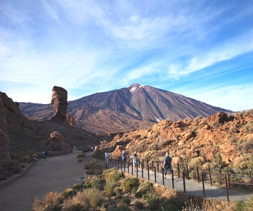From South Tenerife: Teide National Park Tour