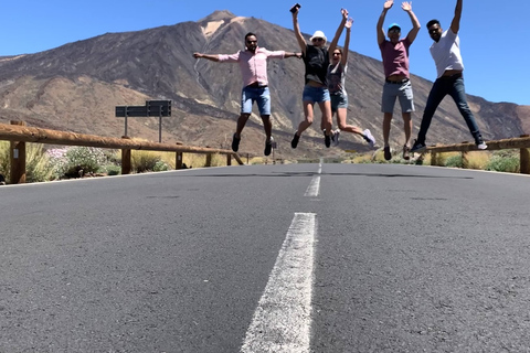 Tenerife: Parque Nacional Vulcano Teide VIP Con Minivan