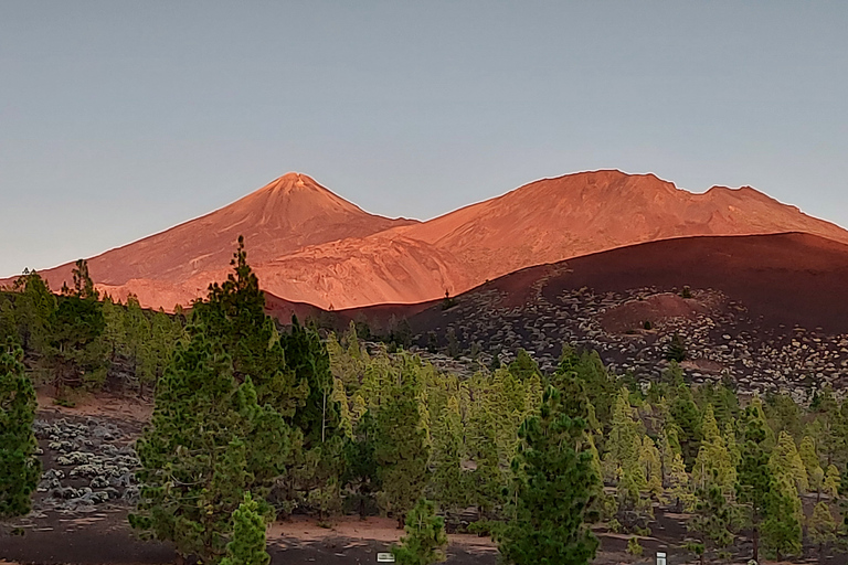 Teneryfa: Park Narodowy Vulcano Teide VIP z minivanem