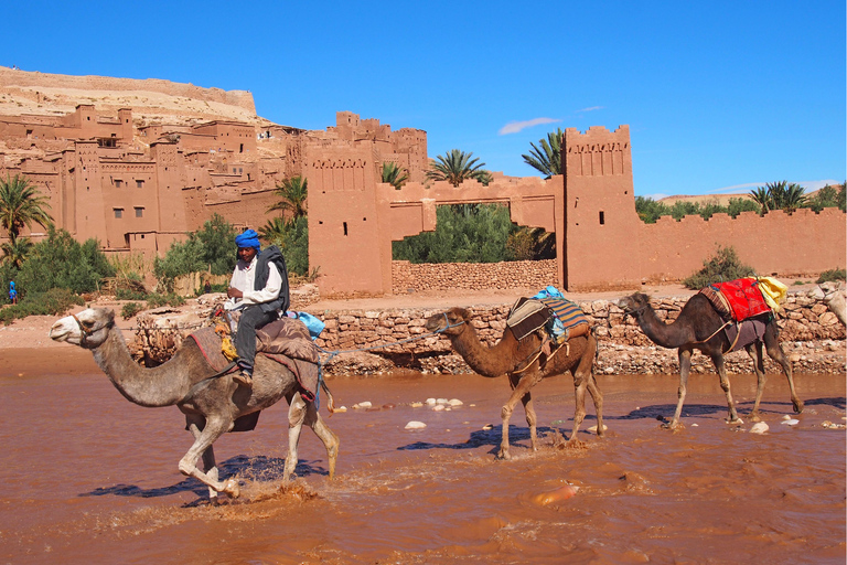 Private Day Trip from Marrakech to Kasbah Ait Benhaddou Standard Option