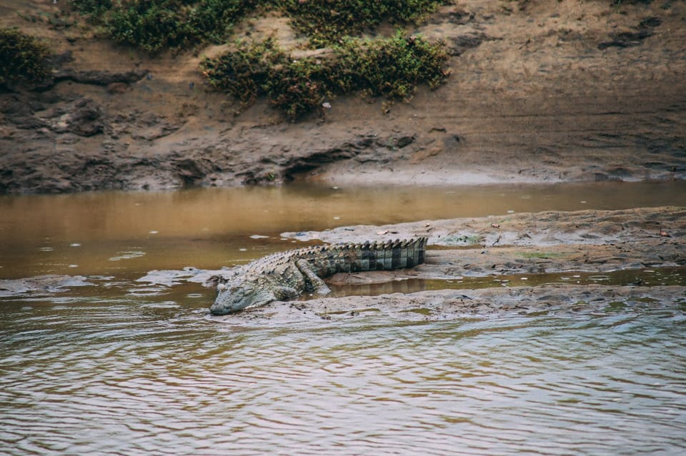 Provincie Uva All Inclusive Udawalawe Nationaal Park Safari Getyourguide