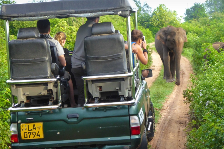 Udawalawe Safari Tagesausflug (Privat) - All InclusiveAbholung von Bentota/ Beruwala/ Kosgoda/ Ahungalla