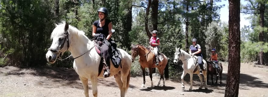 Tenerife : randonnée équestre de visite guidée dans la forêt de Lomo