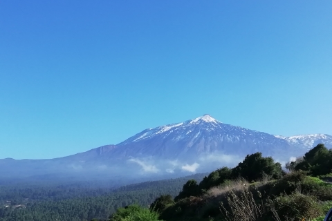 Tenerife - Trail ride - AusritteOpción Estándar