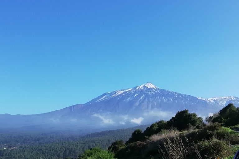 Tenerife - Trail ride - AusritteOpción Estándar