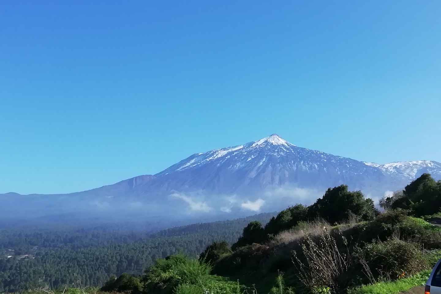 Tenerife: Recorrido guiado a caballo por el Bosque Lomo