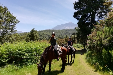 Tenerife - Trail ride - Ausritte Standard Option