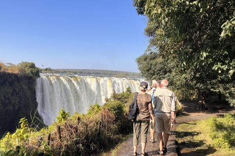 Victoria Falls: Guided Tour of the Falls from Both Sides