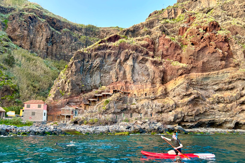 Funchal: Private Kreuzfahrt mit Schnorcheln und Paddleboarding