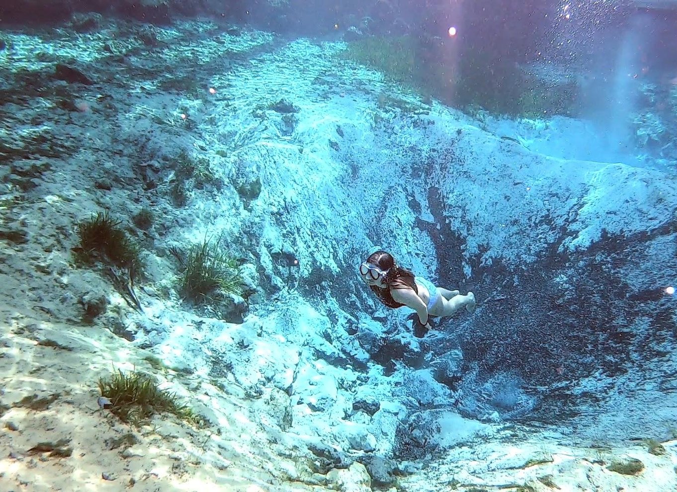 Three Sisters Springs og søkøer: Tur i kajak med gennemsigtig bund