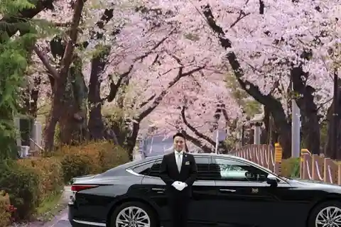 Cherry Blossom Private Tour