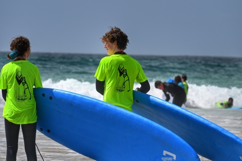 Escuela de surf Sealovers