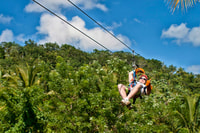 Rainforest Ziplining Adventure - Housity