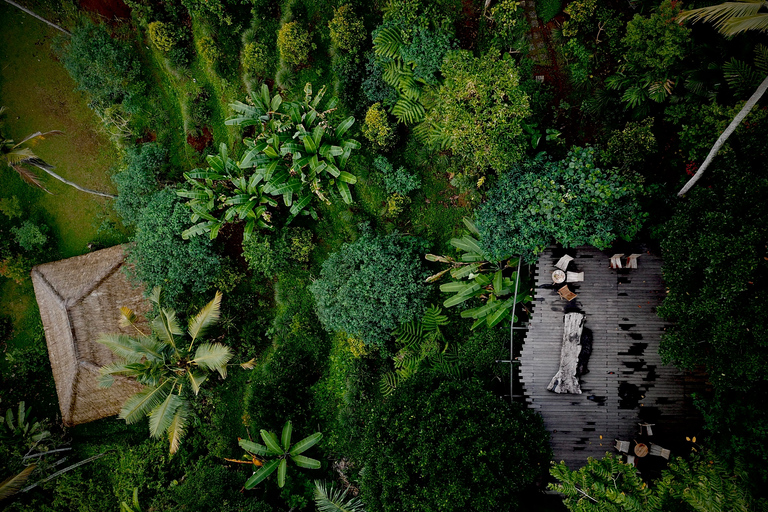 Ubud: el tour privado de la mejor aventura guardada en InstagramUbud: los secretos mejor guardados de la aventura de Instagram